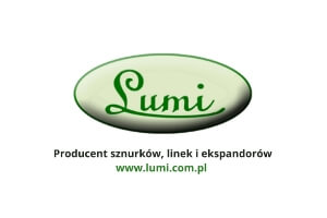 logo_Lumi